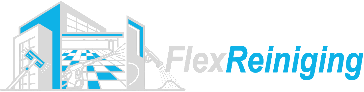 FlexReiniging